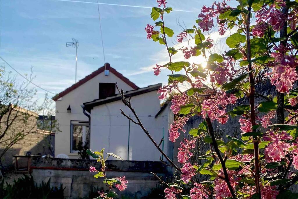 Le Ni' De Jess Villa Migennes Eksteriør billede